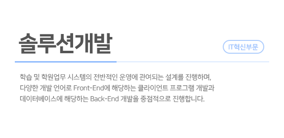 솔루션개발 소개 이미지